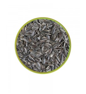 Sunflower Seed